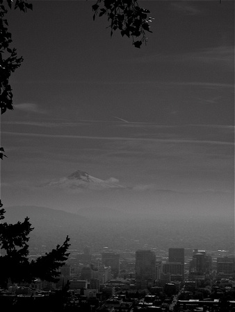 from Pittock Mansion